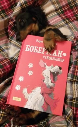 Борис Алмазов "Боберман Стюдебекер" Скамейка в книжном парке Дзен