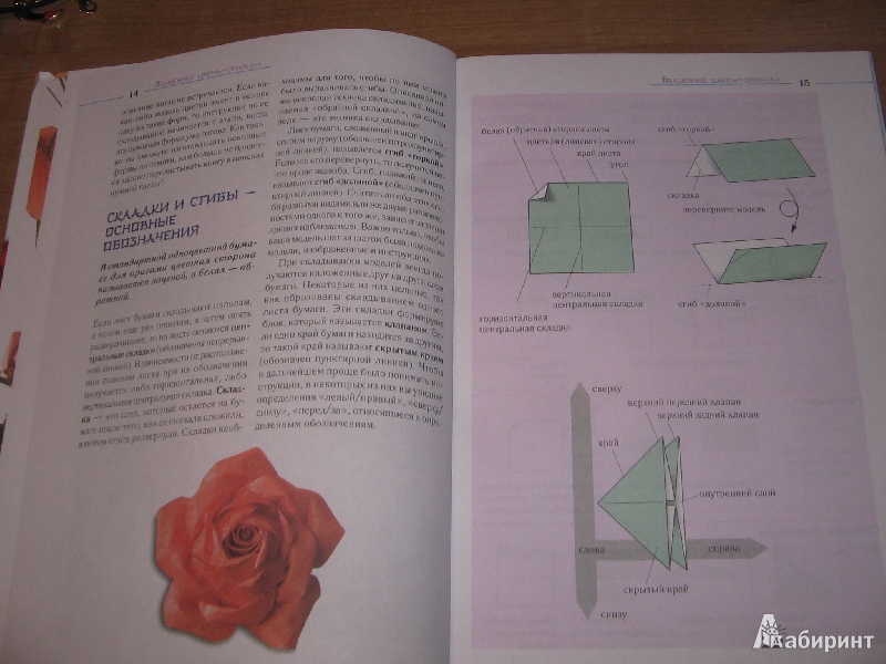 Иллюстрация 8 из 10 для Волшебные цветы-оригами - Йенс-Хельге Дамен | Лабиринт - книги. Источник: Рыженький