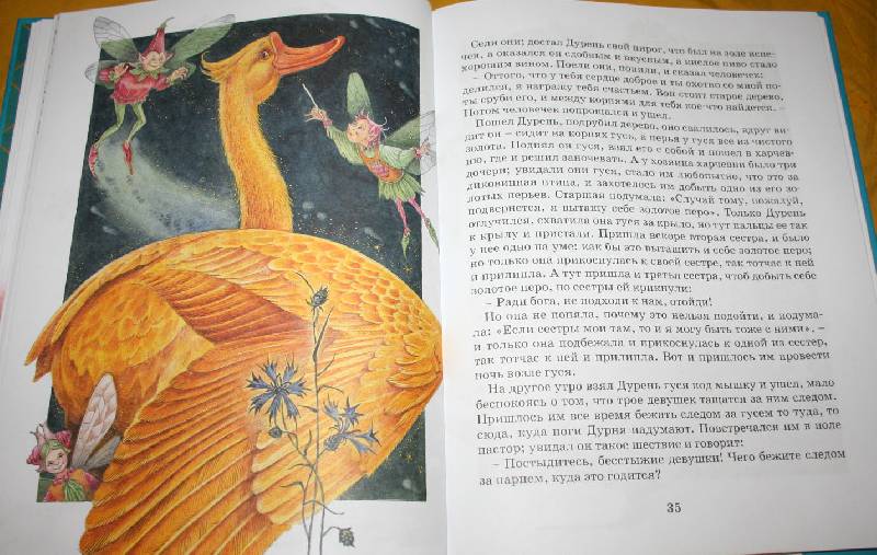 Иллюстрация 19 из 48 для Золотой гусь - Гримм Якоб и Вильгельм | Лабиринт - книги. Источник: kolobus