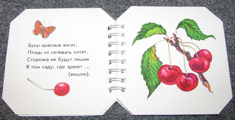 Иллюстрация 4 из 19 для Что в саду растёт - А. Геращенко | Лабиринт - книги. Источник: Апельсинка