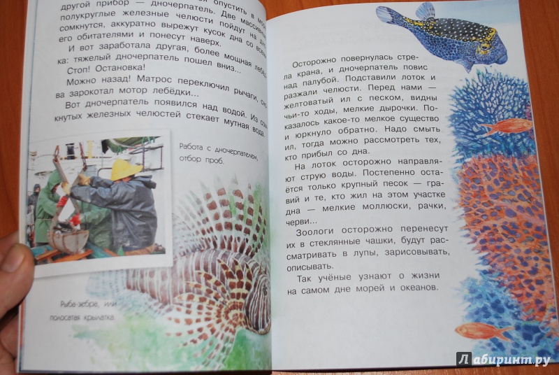 Иллюстрация 9 из 15 для Как увидеть морское дно? - Александр Тамбиев | Лабиринт - книги. Источник: Нади