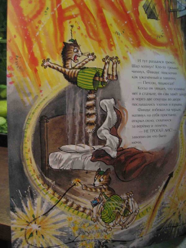 Иллюстрация 30 из 33 для Охота на лис - Свен Нурдквист | Лабиринт - книги. Источник: Трухина Ирина