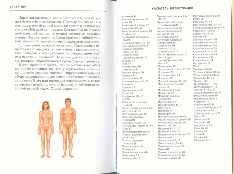 Иллюстрация 46 из 47 для Анатомия человека - Сергей Афонькин | Лабиринт - книги. Источник: Бетельгейзе