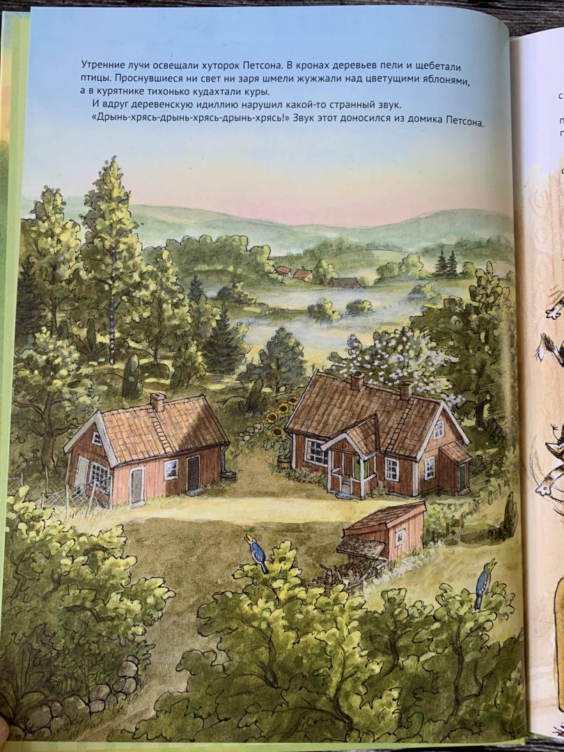 Иллюстрация 43 из 52 для Финдус переезжает - Свен Нурдквист | Лабиринт - книги. Источник: K.  G