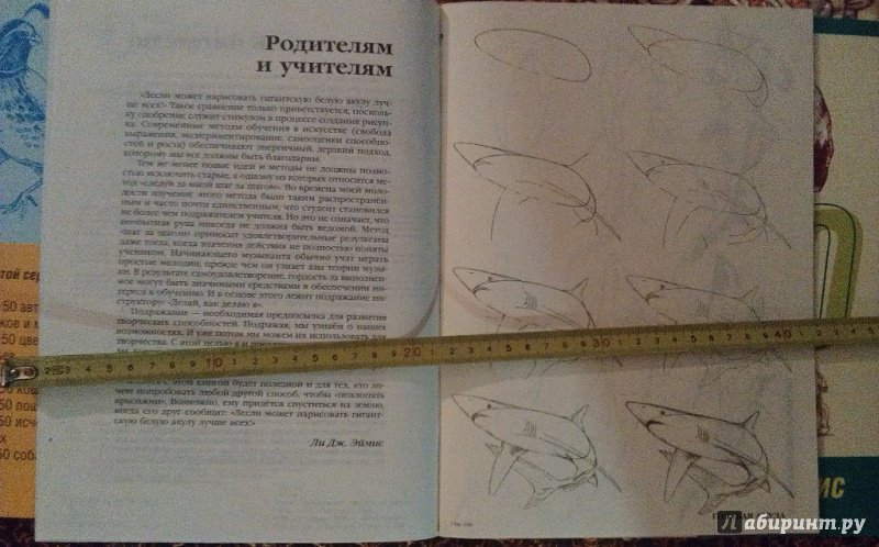 Иллюстрация 16 из 33 для Рисуем 50 акул, китов и других морских животных - Эймис, Бадд | Лабиринт - книги. Источник: ss0263042