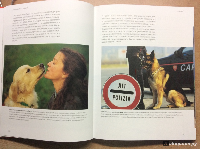 Иллюстрация 14 из 19 для Как общаться с собакой. Практическое руководство - Капра, Роботти | Лабиринт - книги. Источник: Kate Panda