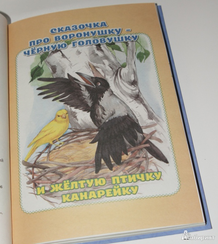 Иллюстрация 5 из 25 для Аленушкины сказки - Дмитрий Мамин-Сибиряк | Лабиринт - книги. Источник: Демина  Елена Викторовна