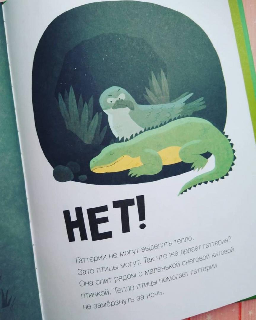 Иллюстрация 61 из 73 для Пьют ли лягушки горячее какао? - Канер, Мартц | Лабиринт - книги. Источник: Отзывы читателей