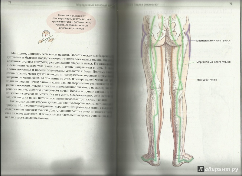 Иллюстрация 3 из 28 для Меридианный лечебный массаж - Ильчи Ли | Лабиринт - книги. Источник: Юлия