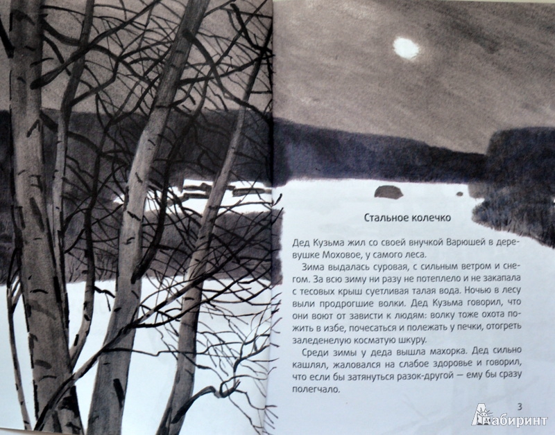 Иллюстрация 37 из 44 для Стальное колечко - Константин Паустовский | Лабиринт - книги. Источник: Ассоль