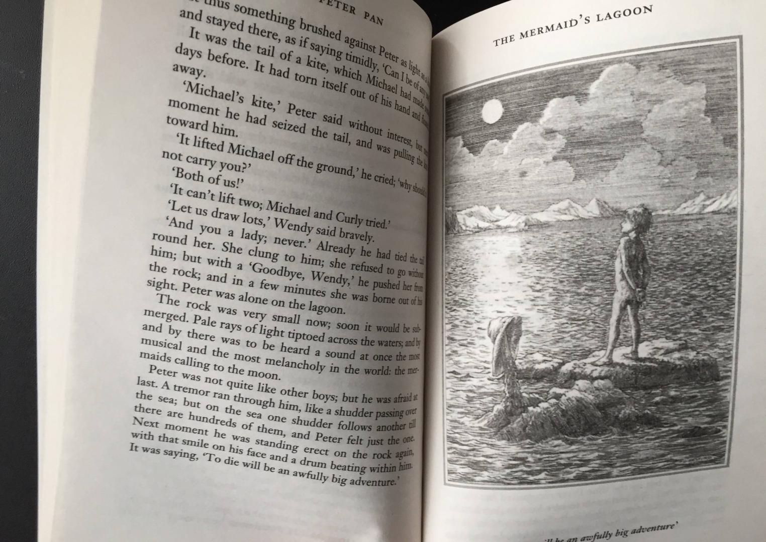 Иллюстрация 31 из 47 для Peter Pan - James Barrie | Лабиринт - книги. Источник: u_p