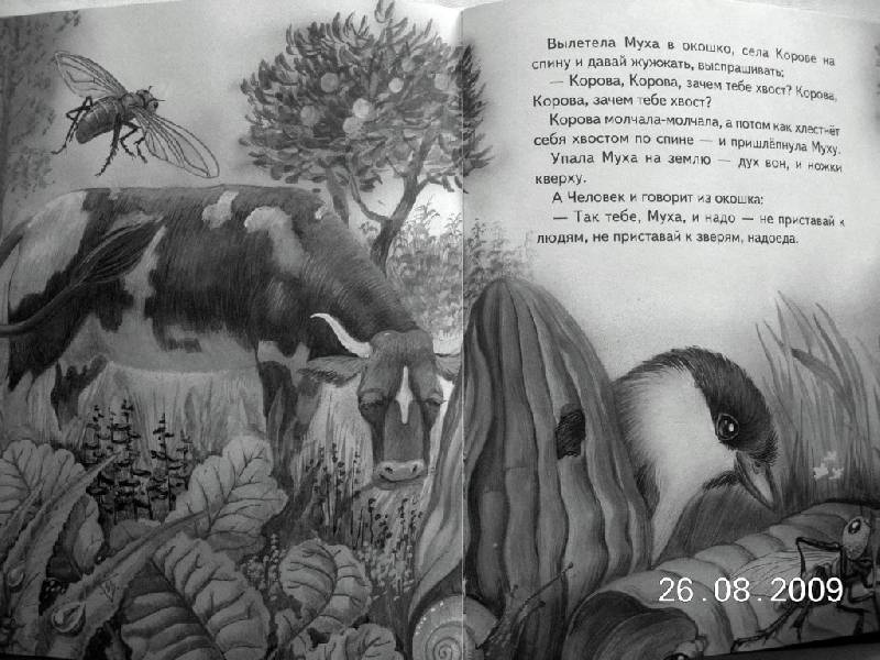 Иллюстрация 10 из 27 для Сказки о животных - Виталий Бианки | Лабиринт - книги. Источник: star