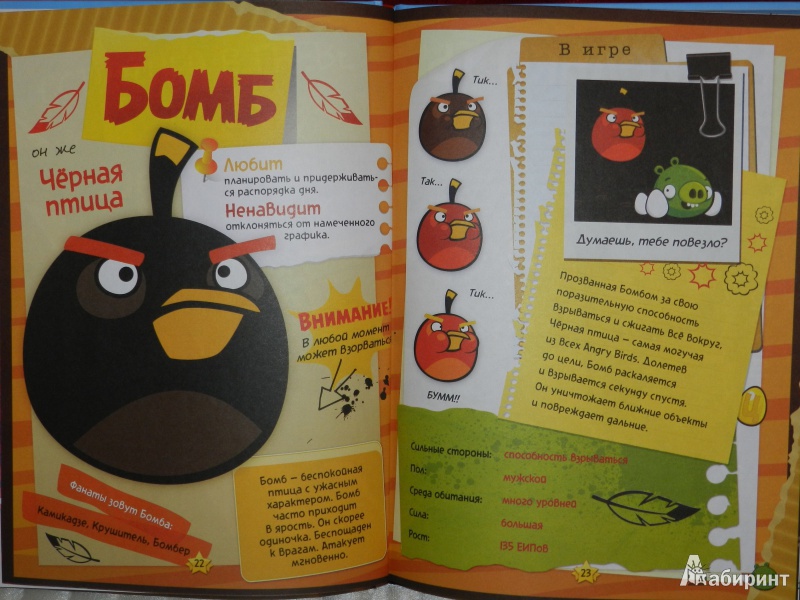 Иллюстрация 8 из 15 для Angry Birds. Секретные материалы | Лабиринт - книги. Источник: Дробязко  Екатерина