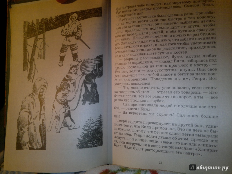 Иллюстрация 5 из 8 для Белый клык: Повесть, рассказы - Джек Лондон | Лабиринт - книги. Источник: s3iorus