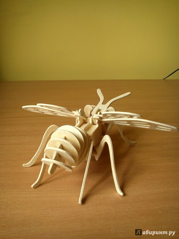 Иллюстрация 4 из 6 для Сборная деревянная модель "Пчела" (E030) | Лабиринт - игрушки. Источник: Данилов  Александр Сергеевич