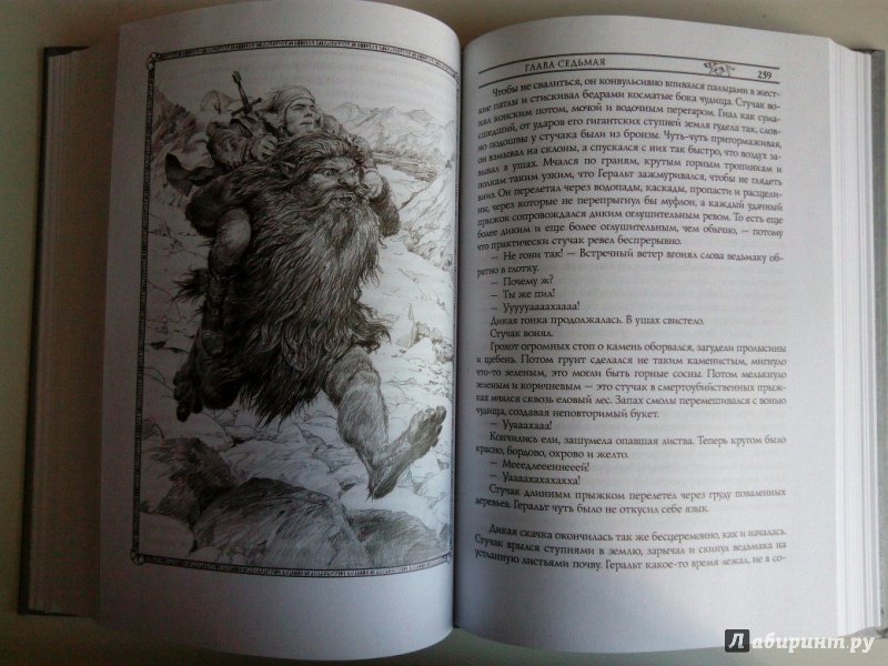 Иллюстрация 36 из 60 для Ведьмак. Башня Ласточки - Анджей Сапковский | Лабиринт - книги. Источник: VALERIYA