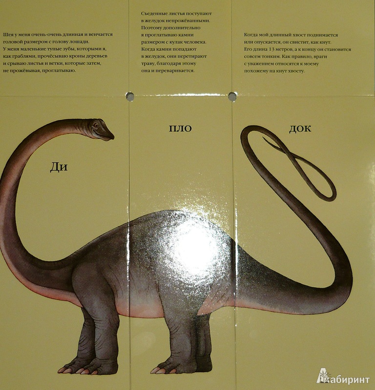 Иллюстрация 12 из 15 для 1000 динозавров. Придумай, создай, назови - Сара Балл | Лабиринт - книги. Источник: Ромашка:-)