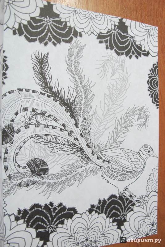Иллюстрация 16 из 23 для Райские птицы. Раскраска-антистресс для творчества и вдохновения | Лабиринт - книги. Источник: Hitopadesa