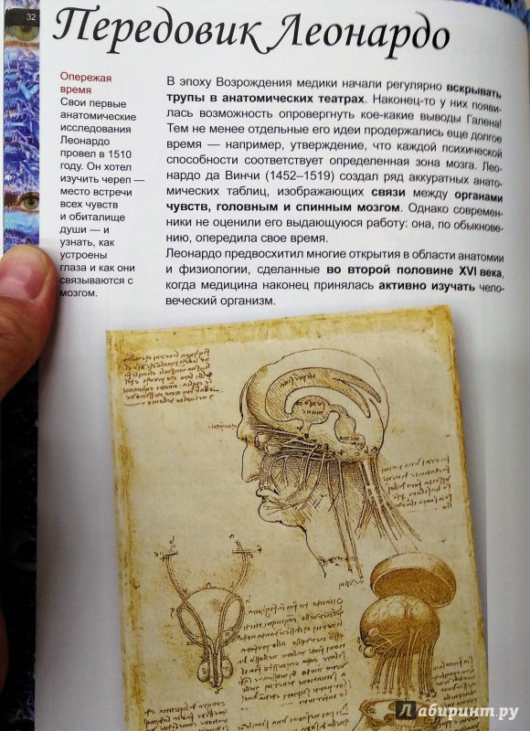 Иллюстрация 6 из 42 для Мозг и тайны мышления - Чианни Ди | Лабиринт - книги. Источник: Савчук Ирина