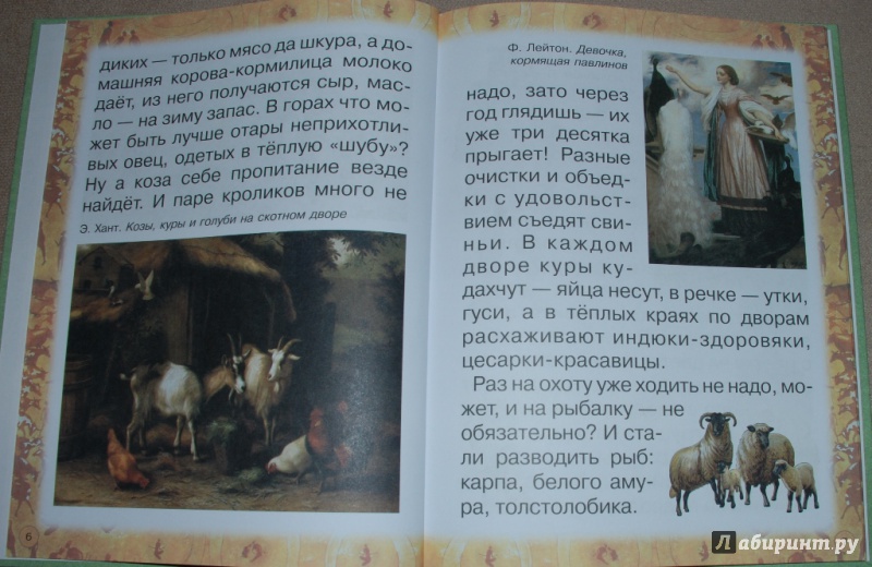 Иллюстрация 6 из 31 для Животные: помощники и друзья - Инна Гамазкова | Лабиринт - книги. Источник: Книжный кот
