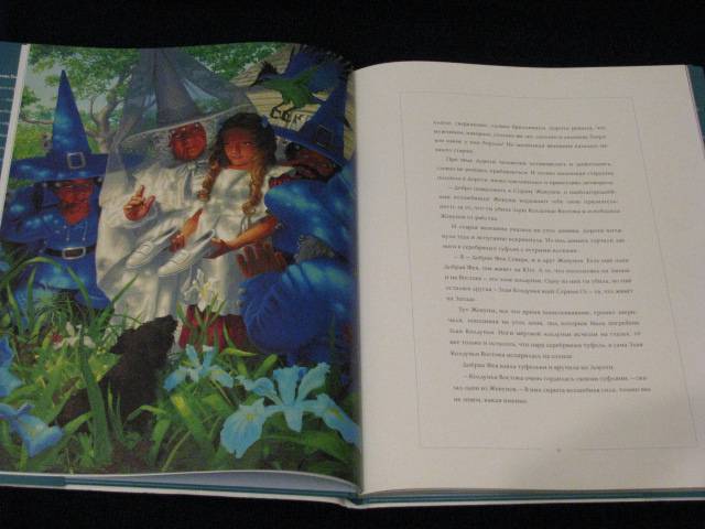 Иллюстрация 25 из 36 для Волшебник Страны Оз - Лаймен Баум | Лабиринт - книги. Источник: Nemertona