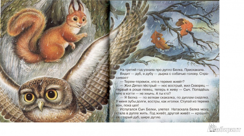 Иллюстрация 3 из 43 для Сказки лесной опушки - Бианки, Сладков, Пришвин, Шим | Лабиринт - книги. Источник: Fish-ечка