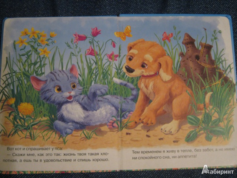 Давным давно в лесу жила собака сказка. Сказка про щенка. Иллюстрация к сказке про собаку. Детские книжки про собак и кошечек. Сказка про котенка.