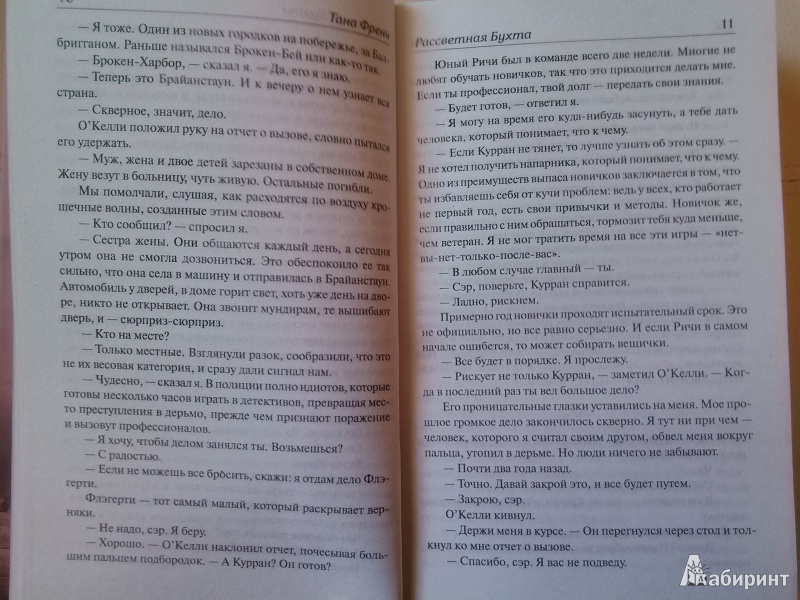 Иллюстрация 5 из 25 для Рассветная бухта - Тана Френч | Лабиринт - книги. Источник: Ремизова Нина