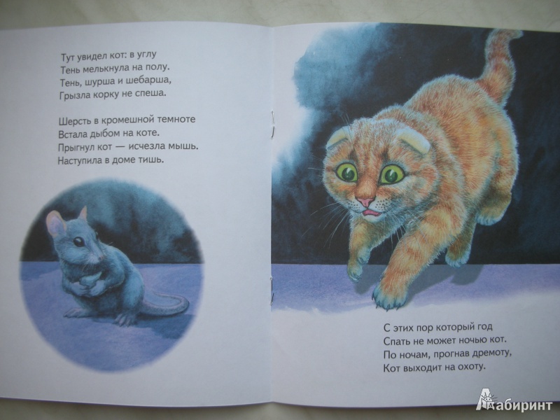 Иллюстрация 13 из 23 для Два кота - Владимир Степанов | Лабиринт - книги. Источник: Екатерина123