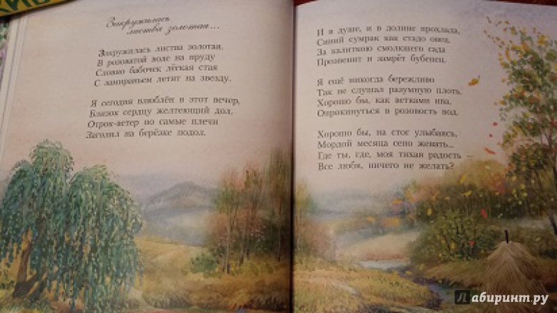 Иллюстрация 20 из 51 для Стихи детям - Сергей Есенин | Лабиринт - книги. Источник: Faina