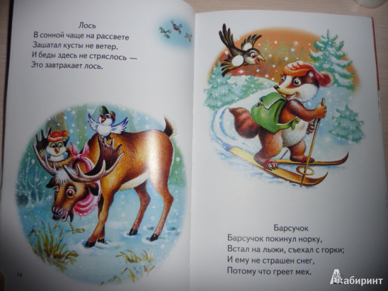 Иллюстрация 4 из 32 для Лесные забавы - Родин, Степанов, Новикова | Лабиринт - книги. Источник: Anyta23