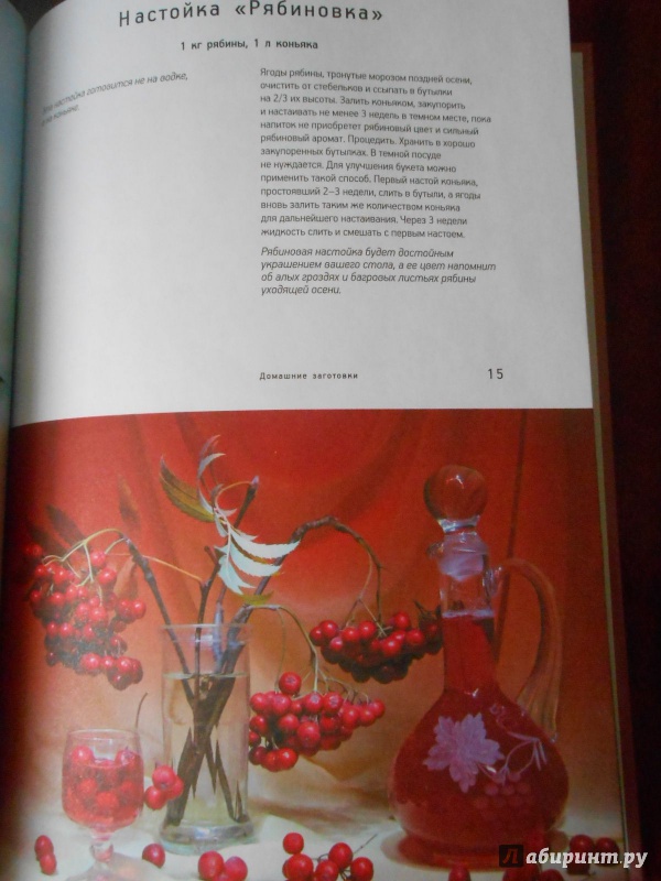 Иллюстрация 6 из 19 для Вина и наливки - Наталия Потапова | Лабиринт - книги. Источник: Леан