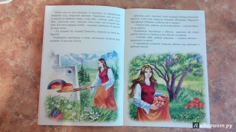 Иллюстрация 9 из 14 для Госпожа Метелица | Лабиринт - книги. Источник: Косова  Мария