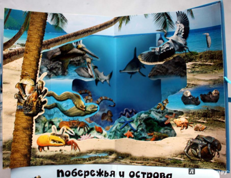 Иллюстрация 16 из 20 для Удивительный океан | Лабиринт - книги. Источник: Сидоренко  Сергей