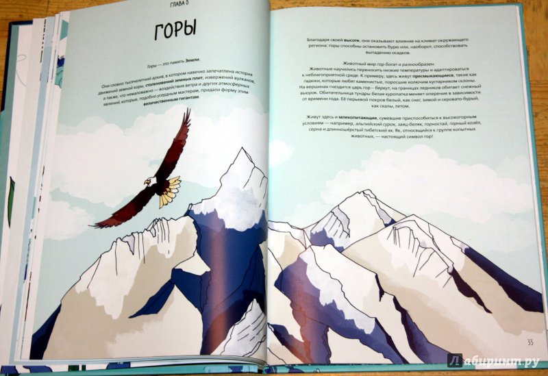 Иллюстрация 22 из 42 для Планета Земля. Мир вокруг нас в инфографике - Кьяра Пиродди | Лабиринт - книги. Источник: Астрова  Алиса