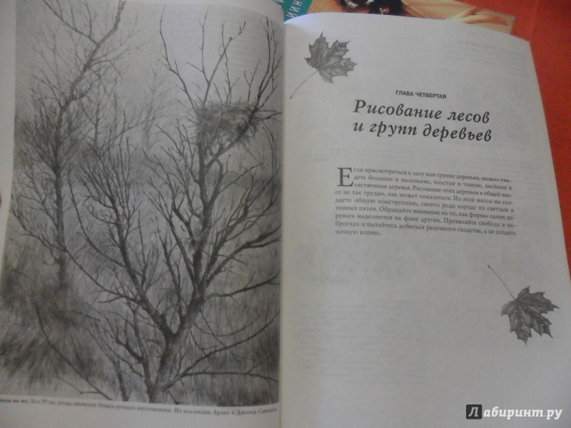 Иллюстрация 29 из 61 для Деревья - Стенли Молцмен | Лабиринт - книги. Источник: sleits