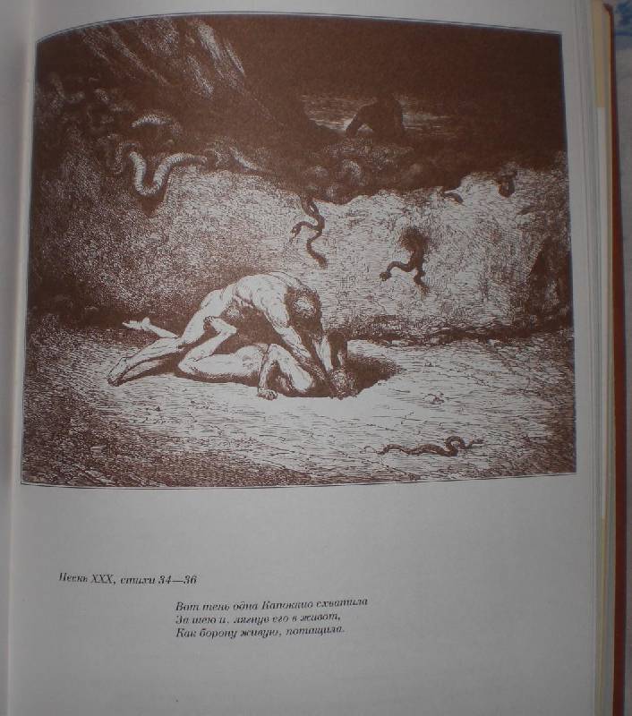 Иллюстрация 16 из 44 для Божественная комедия - Данте Алигьери | Лабиринт - книги. Источник: MarionDeLorme