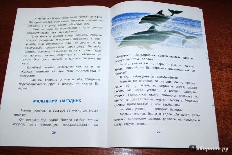 Иллюстрация 31 из 32 для Дельфиний остров - Святослав Сахарнов | Лабиринт - книги. Источник: Жуков  Алексей