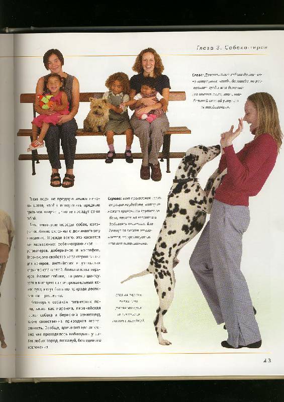 Иллюстрация 34 из 42 для Как отучить собаку от вредных привычек - Колин Теннант | Лабиринт - книги. Источник: ЛиС-а