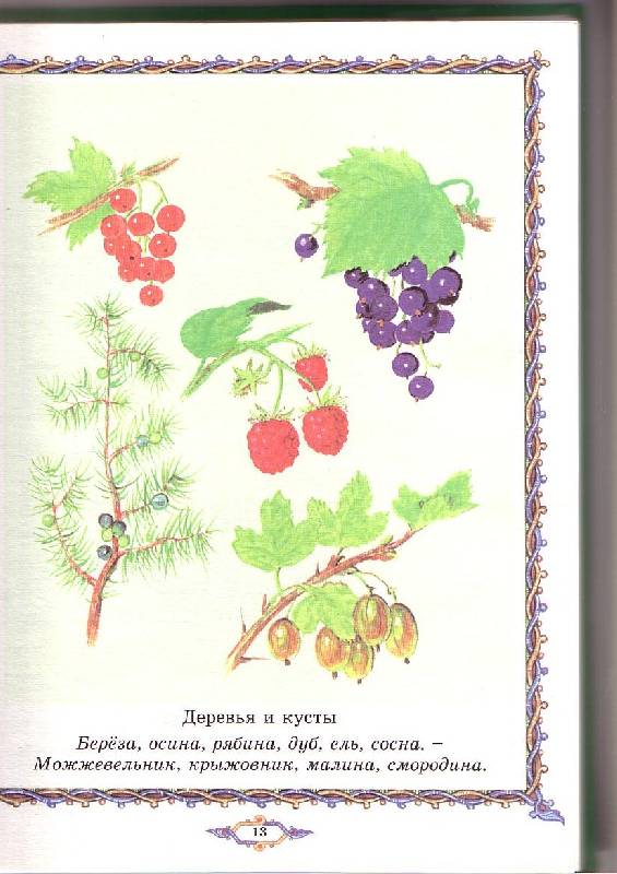 Иллюстрация 11 из 16 для Букварь - Тихомиров, Тихомирова | Лабиринт - книги. Источник: G  Oksana