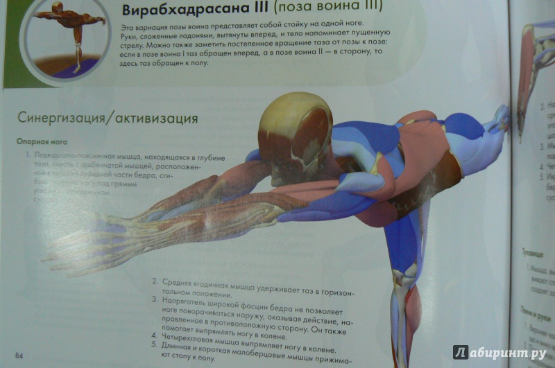 Иллюстрация 27 из 27 для Ключевые позы йоги. Руководство по функциональной анатомии йоги - Рэй Лонг | Лабиринт - книги. Источник: Марина