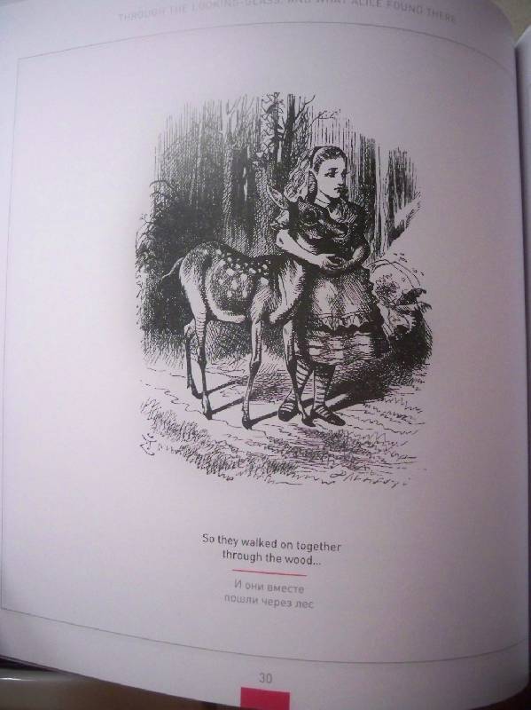Иллюстрация 29 из 34 для Алиса в Зазеркалье. Гравюры Джона Тенниела | Лабиринт - книги. Источник: ЧК (Чеширский Кот)