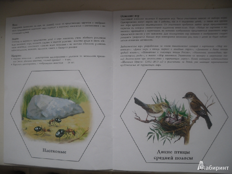 Иллюстрация 3 из 10 для Игры-упражнения на обобщение и систематизацию знаний. Мир животных. Дикие и домашние птицы… | Лабиринт - книги. Источник: Нуги