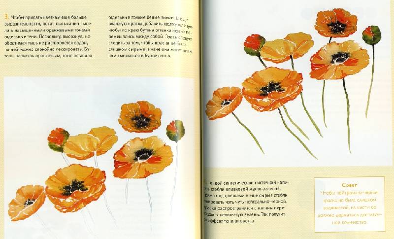 Иллюстрация 8 из 8 для Рисуем цветы (акварель) - Кирси Цюльке | Лабиринт - книги. Источник: ТТ