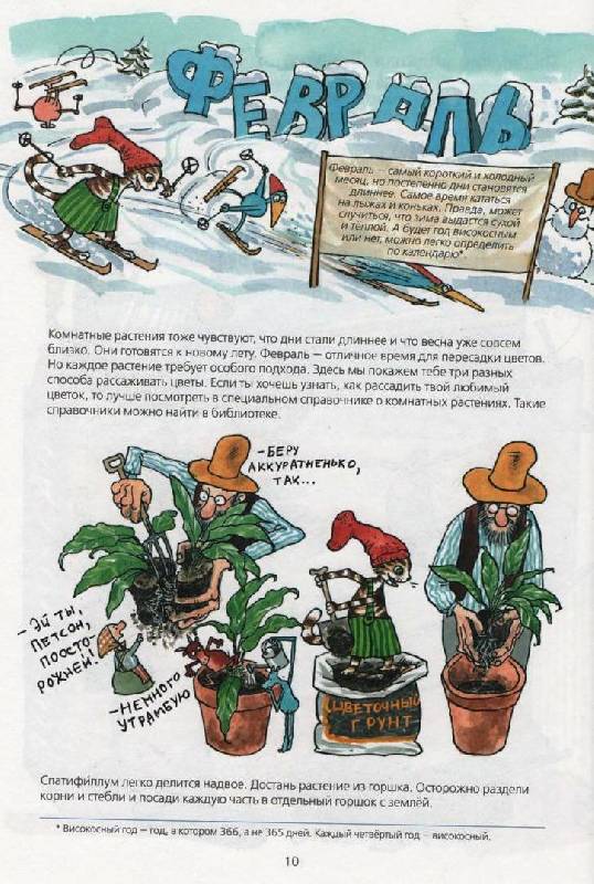 Иллюстрация 10 из 22 для Проделки Финдуса - Нурдквист, Ларсон, Даниельсон | Лабиринт - книги. Источник: Zhanna