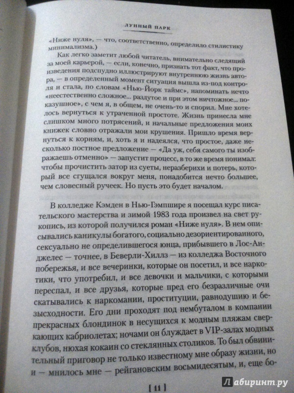 Иллюстрация 10 из 13 для Лунный парк - Брет Эллис | Лабиринт - книги. Источник: Ефремова  Ксения