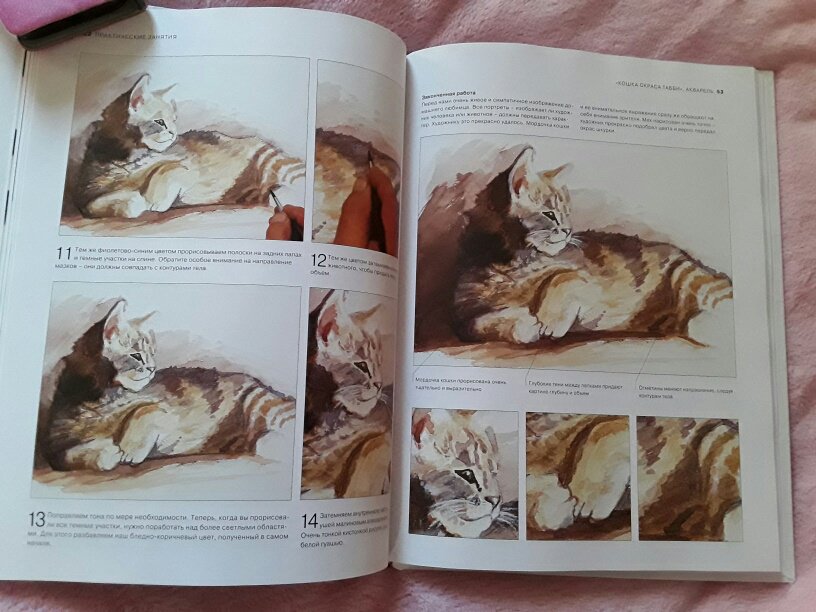 Иллюстрация 26 из 31 для Животные. От эскиза до картины - Ходжет, Трусс | Лабиринт - книги. Источник: Ан Дарья