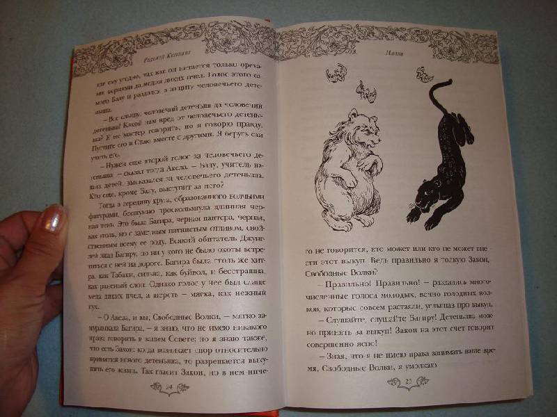 Иллюстрация 10 из 14 для Маугли. Сказки - Редьярд Киплинг | Лабиринт - книги. Источник: pany_beata*