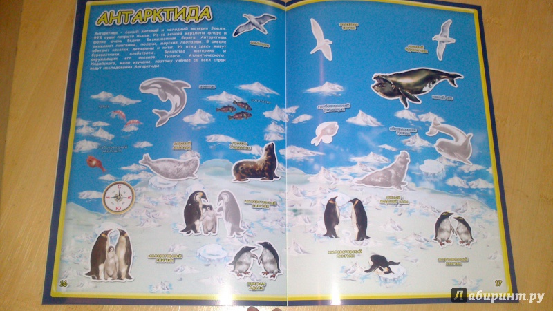 Иллюстрация 13 из 23 для Атлас мира с наклейками. Животные и растения | Лабиринт - книги. Источник: bamboo