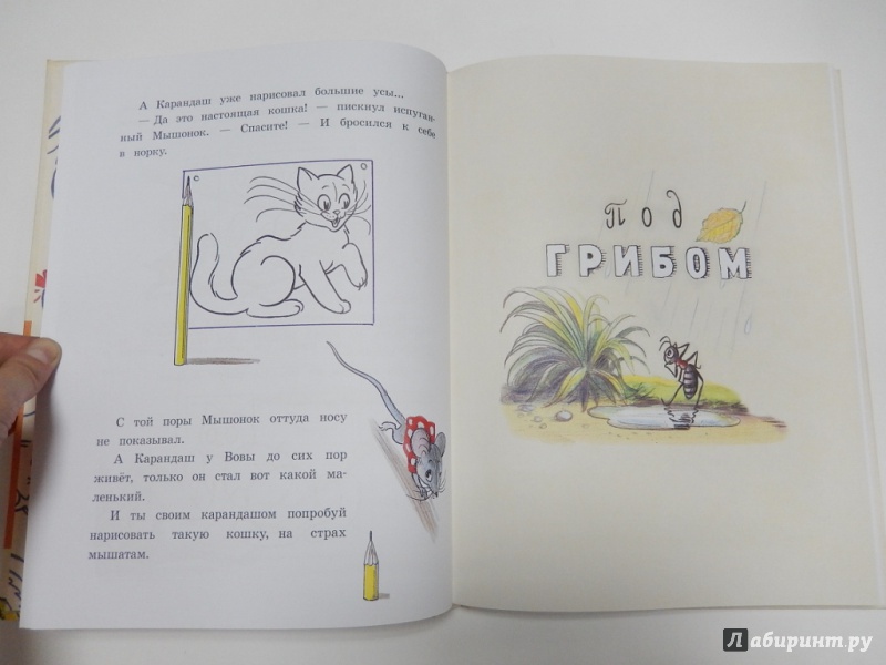 Иллюстрация 7 из 61 для Любимые сказки и картинки - Владимир Сутеев | Лабиринт - книги. Источник: dbyyb
